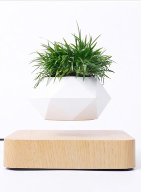 VIp Magnetic suspension flower pot Levitating Air Bonsai Pot