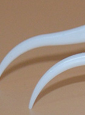 50pcs Dental Floss Flosser Picks Teeth Toothpicks Stick Toot