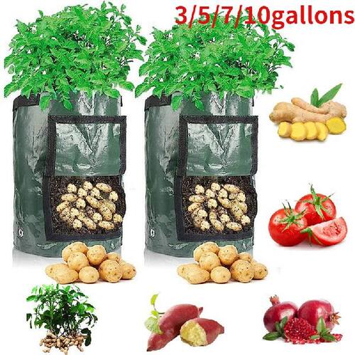 PE Potato Grow Bags Indoors Tomatoes Carrots Grow Pot