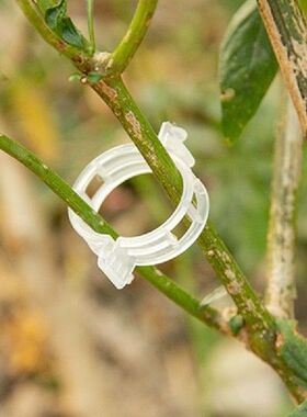 H55A Gardening Tomato Stem Clips Garden Plants Vine