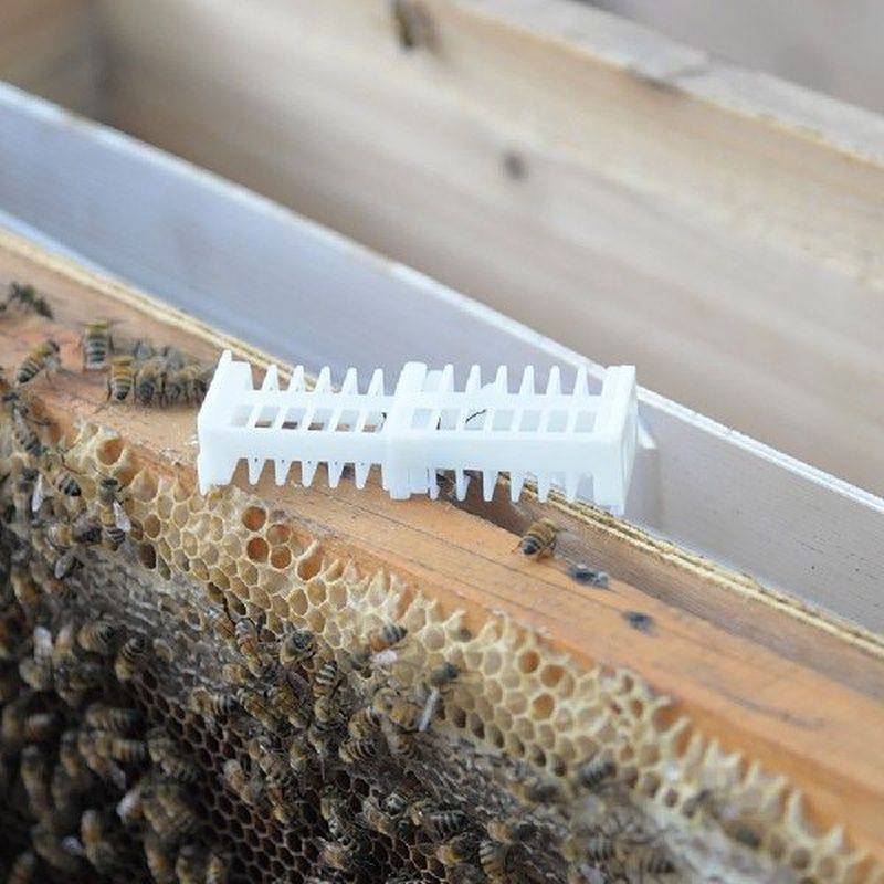 70pcs apiculture bee queen rearing cages cage cell catcher - 实物图
