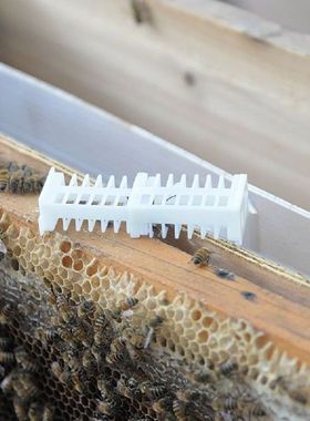 70pcs apiculture bee queen rearing cages cage cell catcher