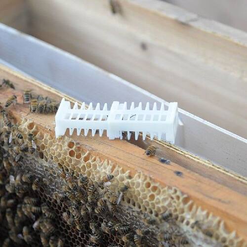 70pcs apiculture bee queen rearing cages cage cell catcher