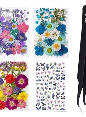 Dried Flower Material Packages Real Pressed Dry Flowers