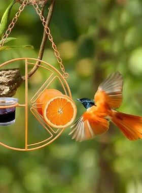 Hot Oriole Bird Feeder for Outdoors Jelly and Oranges