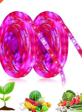 Full Spectrum LED Grow Light Phytolamp Grow LED Strip 12V Fl