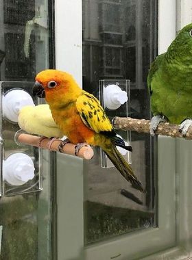 Pet Birds Parrot Perches Toys Holder Wood Support Frame