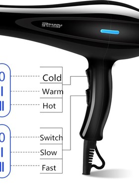 220V Hair Dryer Blow Air with Concentrator Nozzles Diffuser