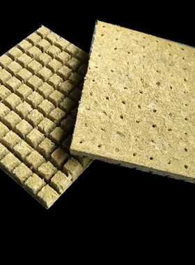 100pcs grow Grodan 1