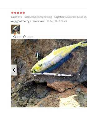 Hunthouse pencil fishing lures bluefish predator wobber penc