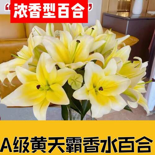 百合鲜花束云南基地直发康乃馨小