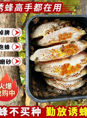 18升加大加厚蜜蜂桶野外引蜂养蜂专用桶涂蜡5个装黑色塑料诱蜂桶