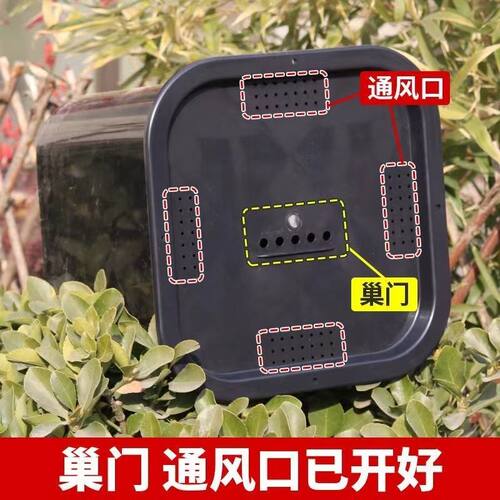 黑色方形塑料野外蜜蜂箱诱蜂桶