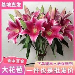 多头香水百合鲜花云南直发鲜切花水养水培鲜花插花速递同城婚庆