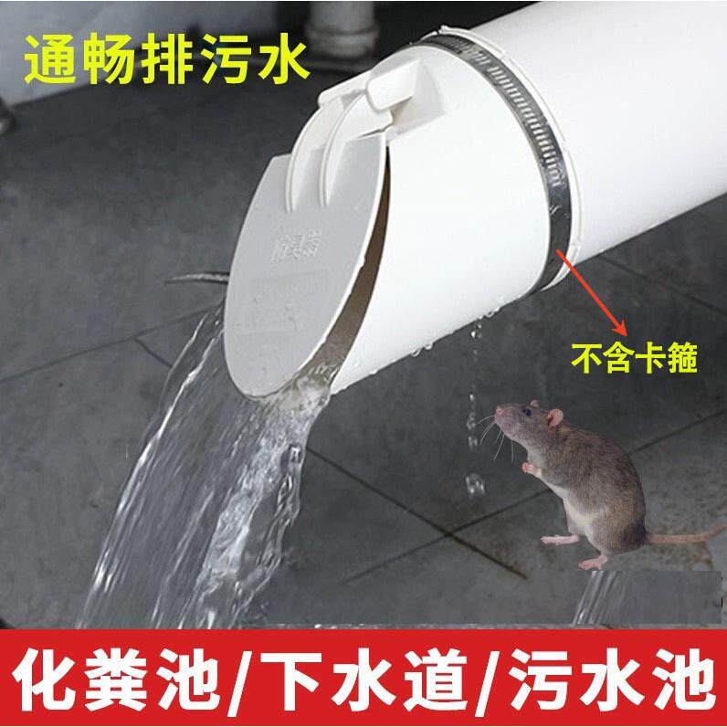 160/50/75/110 Pipe Check Valve PVC Drain Pipe Sewage Backflo - 实物图