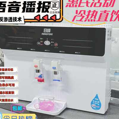 农村加热一体机净水器过滤家用直饮ro反渗透厨房挂壁纯水机饮水机