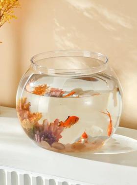 Sturdy Nicely Betta Fish Bowl Small Aquariums for Small Orna