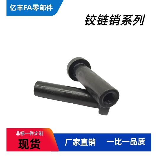 CLBRM SCLBRM6 8 10 12 15 16 20-15 20 25 30内螺纹带肩铰炼销