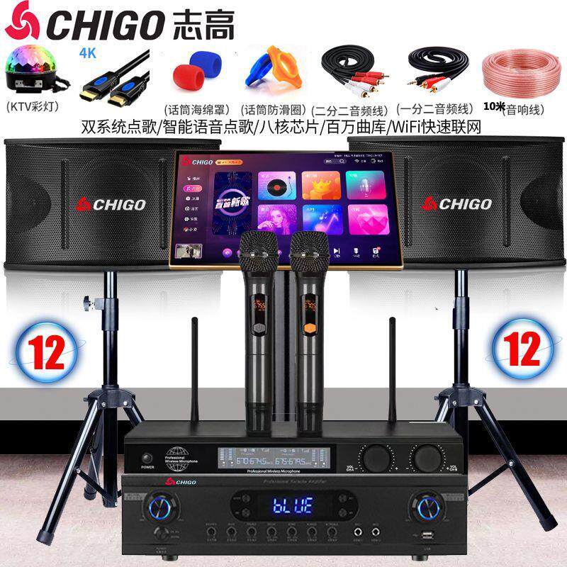 志高专业12寸家庭ktv音响套装会议舞台家用客厅卡拉O电视音箱全套