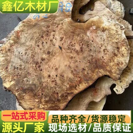 欧洲枫木天然随形树瘤茶盘干泡茶台满雀眼树瘤枫木老料 白杨原木