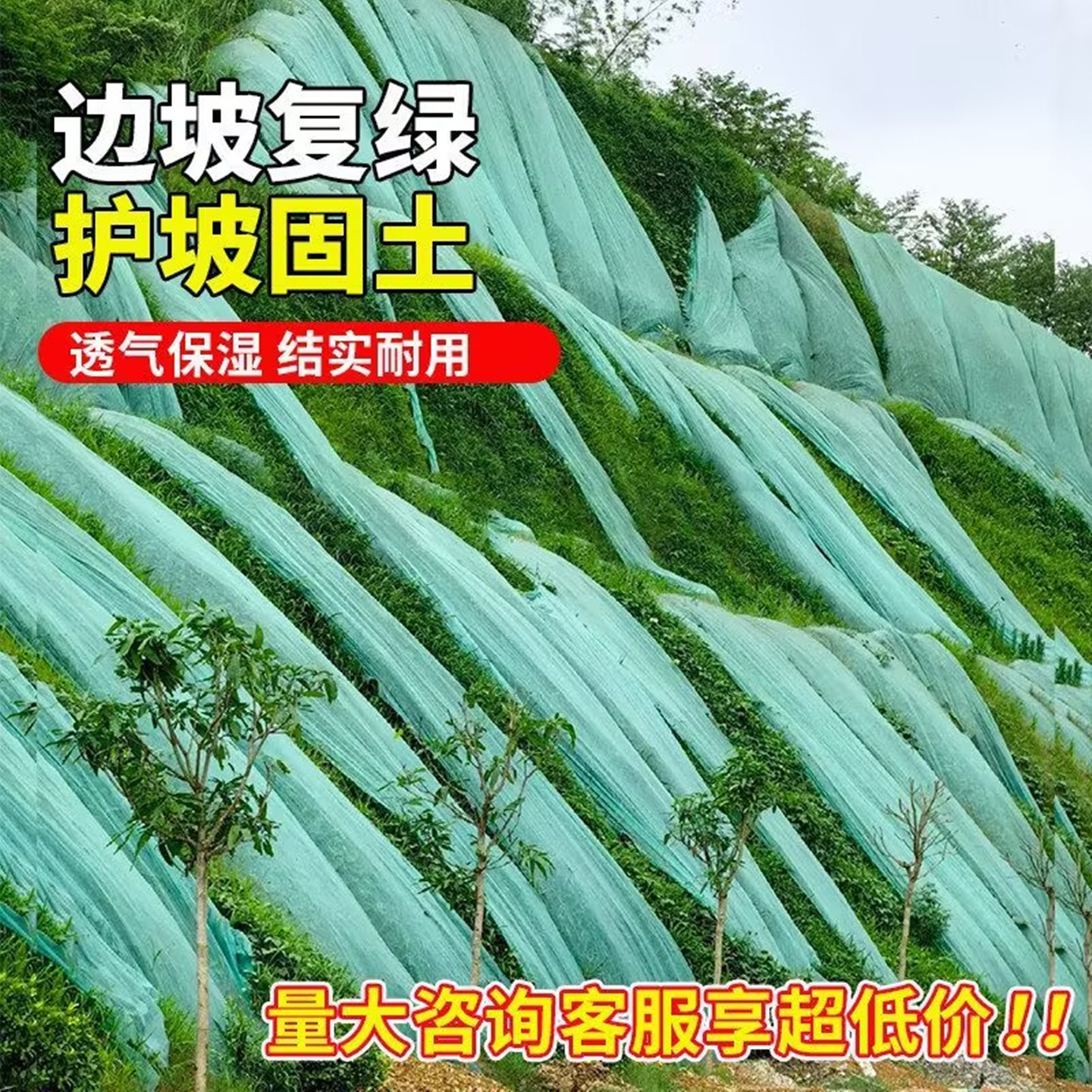园林绿化无纺布植草籽覆盖膜边坡防护植草工程防尘绿网种草覆盖布