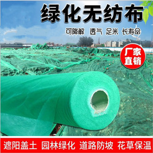 覆盖膜植草绿网绿化网护坡工程防尘网建筑工地草坪草籽透气膜地膜
