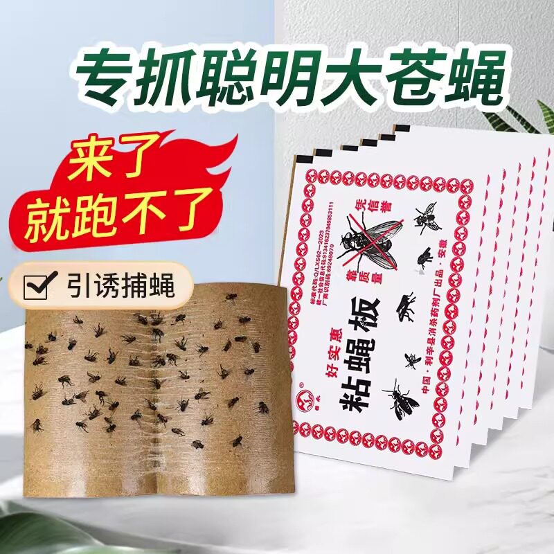 苍蝇贴强力粘苍蝇纸粘蝇板药沾蚊杀手捕捉器灭蝇子神器一扫光家用