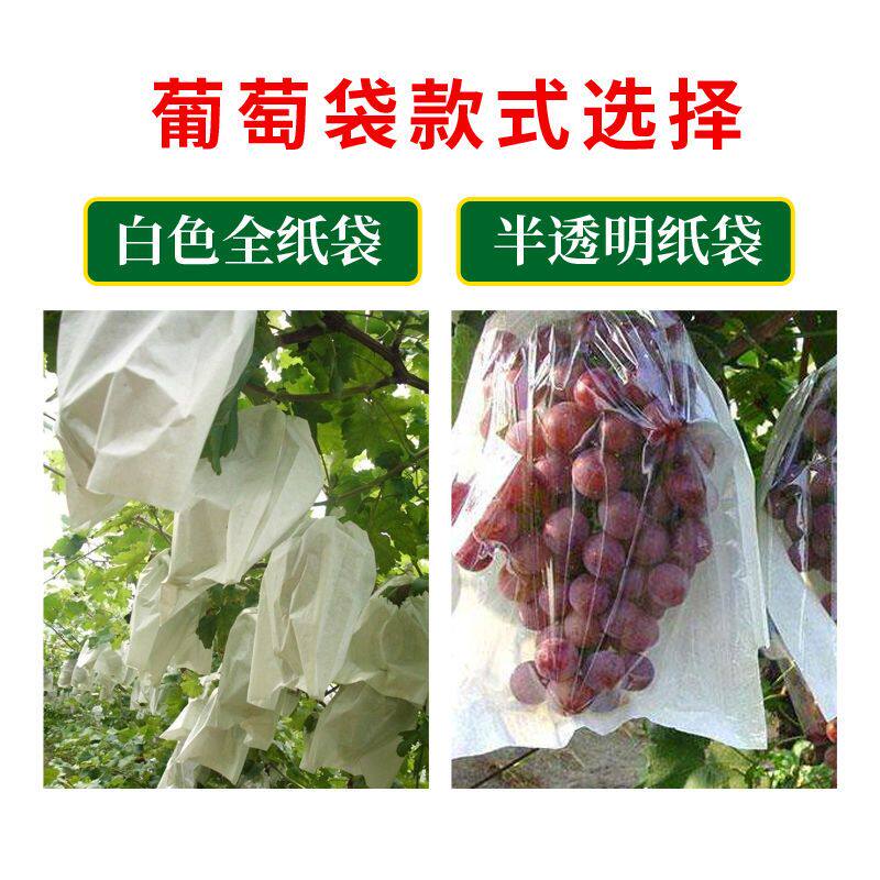 葡萄袋套袋专用纸袋防水雨防鸟虫莲雾保护透气半透明天水果套袋子
