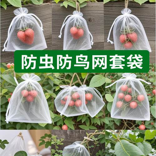 水果套袋防鸟网纱袋瓜果防虫专用袋无花果枇杷葡萄桃子草莓保护袋