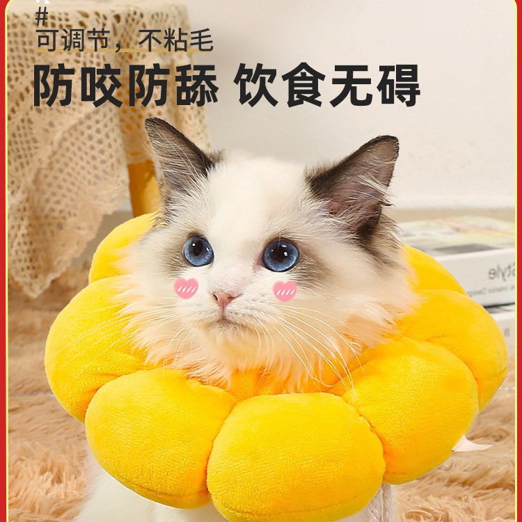 猫咪项圈伊丽莎白圈狗狗防舔软头套伊莉伊利沙白羞耻脖圈绝育用品
