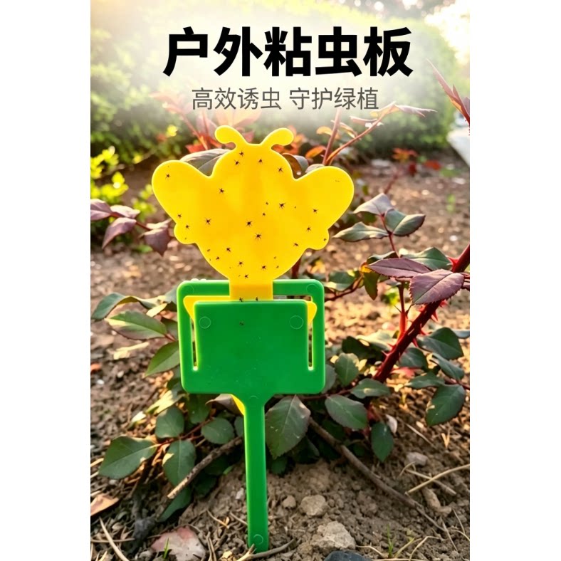 双面粘虫板防水诱虫板贴纸黄色沾黏虫板灭小飞虫果蝇粘板