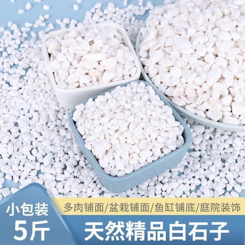 小白石子多肉铺面石头养花鹅卵石雨花石鱼缸造景盆栽庭院水培铺底