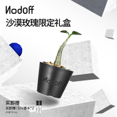 2生日 沙漠玫瑰盆栽礼盒赠香水1.5ml 送礼甄选 NodOff明星同款