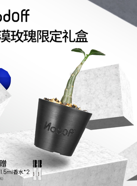【送礼甄选】NodOff明星同款沙漠玫瑰盆栽礼盒赠香水1.5ml*2生日