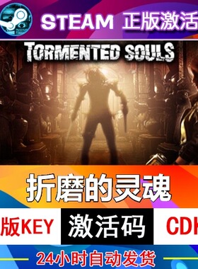 正版 steam 国区 游戏 受折磨的灵魂 Tormented Souls 痛苦灵魂