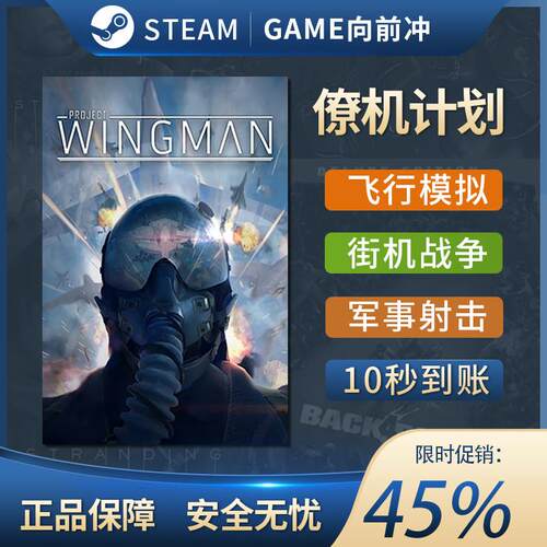 僚机计划 正版Steam激活码CDKey入库 Project Wingman 全DLC游戏