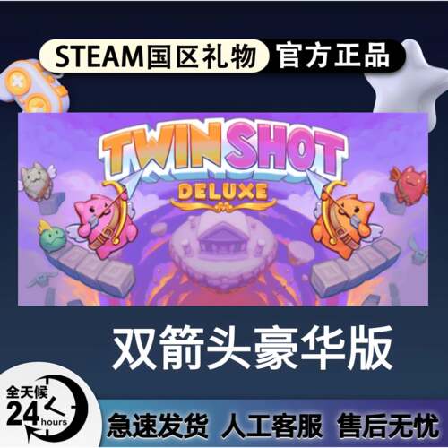 Steam正版 双箭头Twin Shot Deluxe豪华版 国区礼物激活码cdk