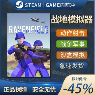 Steam正版战地模拟器Ravenfield激活码CDKEY全DLC入库国区区