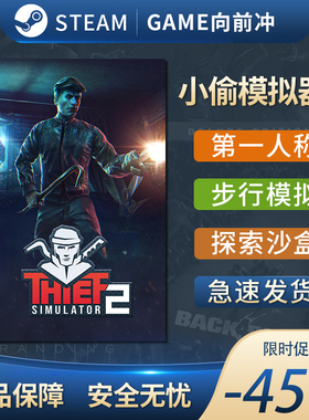 小偷模拟器2 STEAM正版 PC中文 Thief Simulator 2 模拟 潜行