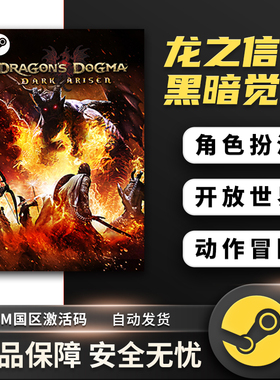 龙之信条 黑暗崛起 觉者 暗黑觉醒 Dragon's Dogma STEAM正版key