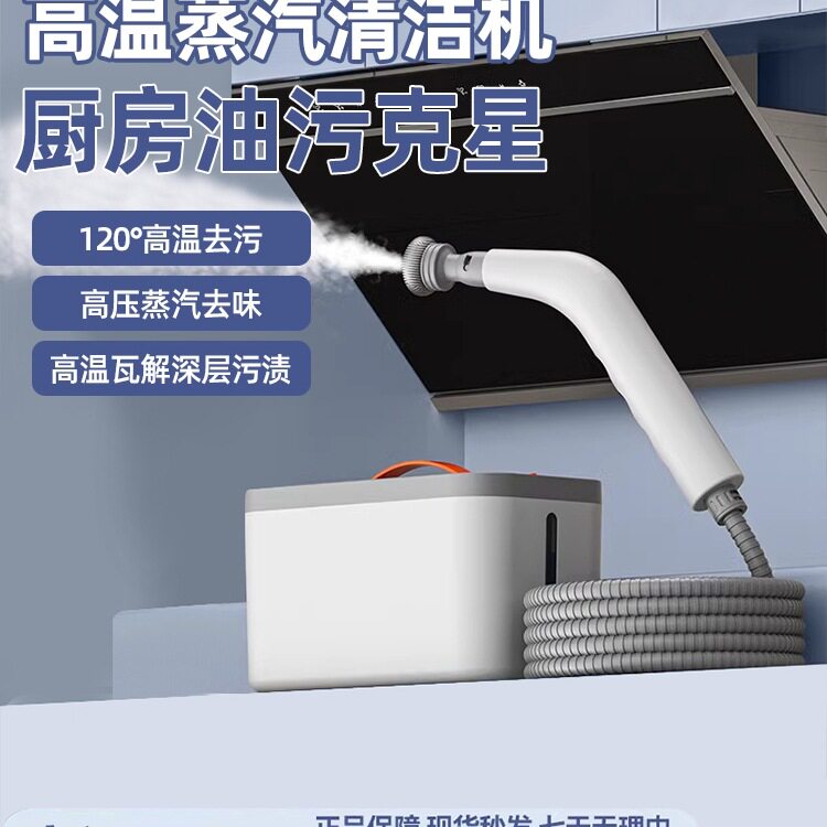 包邮德国进口新款高温蒸汽清洁机家用厨房油烟机地毯多功能清洗一