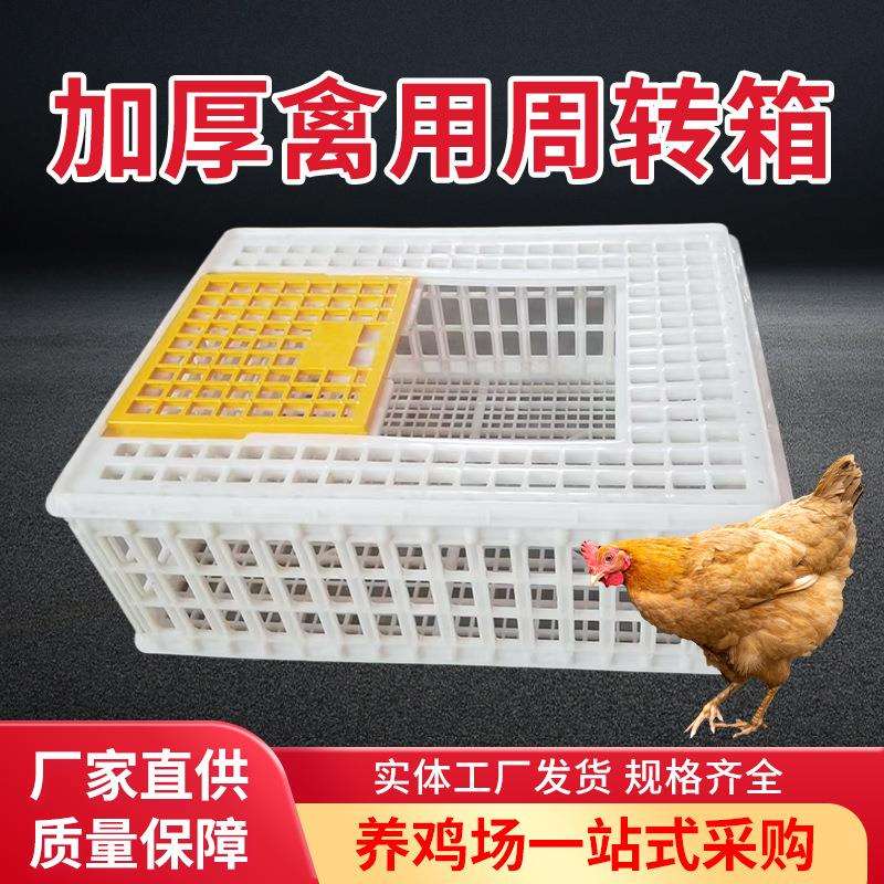 鸡笼运输笼塑料周转箱装鸡筐鸡框子鹧鸪养殖笼大型鸭鹅兔鸽子笼