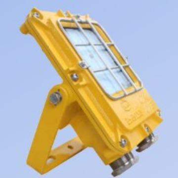 海洋王/DGC52/127L(A)矿用隔爆型LDE支架灯