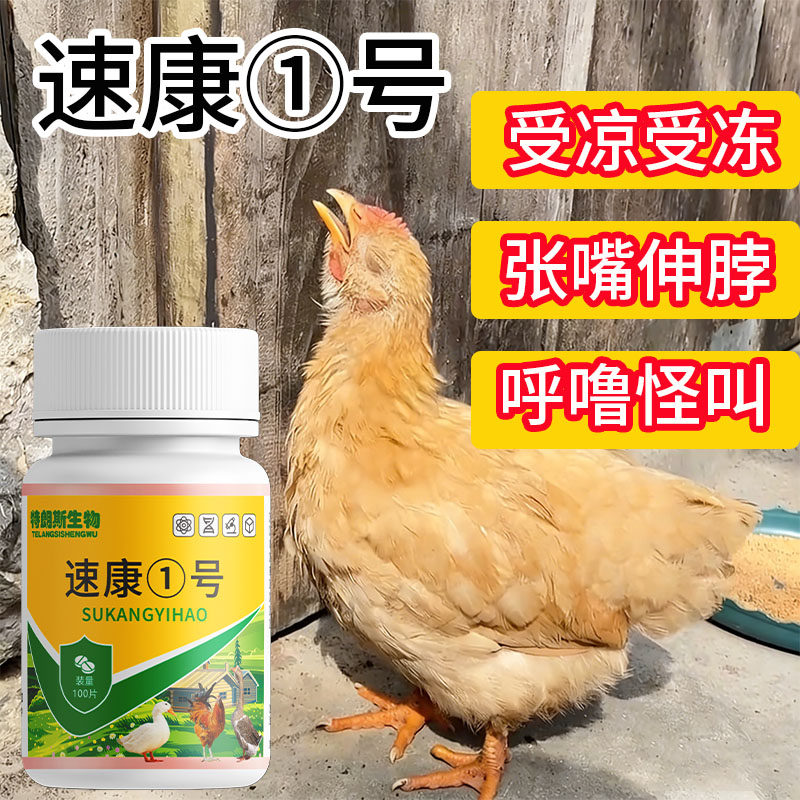速康一号鸡鸭鹅禽类养殖常备受凉受冻张嘴伸脖 - 实物图