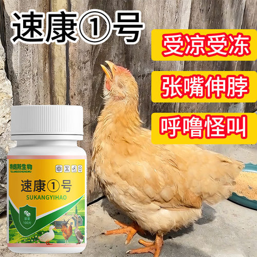 速康一号鸡鸭鹅禽类养殖常备受凉受冻张嘴伸脖