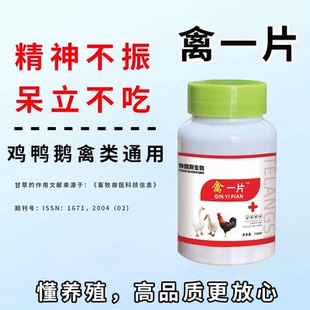 禽一片禽类鸡鸭鹅呼吸道呼噜呆立精神不振家庭养殖常备100片/瓶