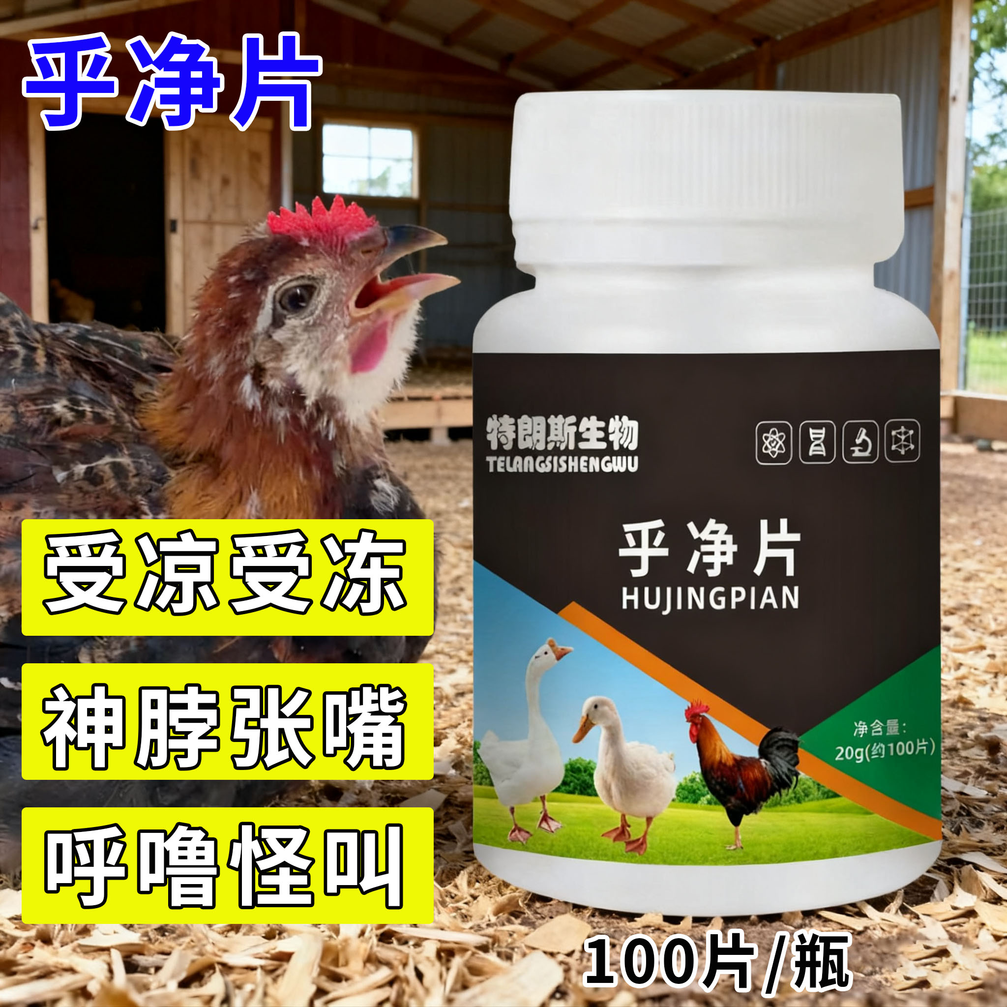 乎净片禽类鸡鸭鹅呼吸道呼噜呆立精神不振家庭养殖常备