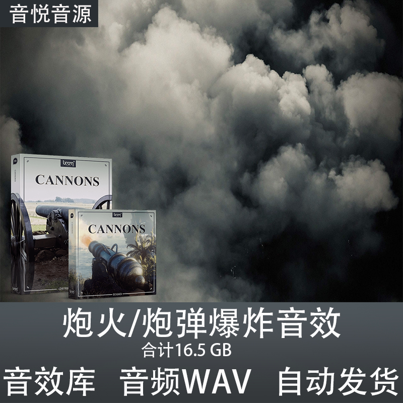 Boom Library Ca软音源