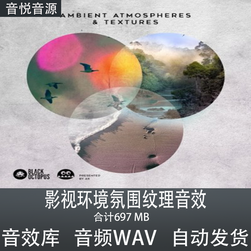black.octopus.sound.ambient.atmospheres影视环境氛围纹理音效