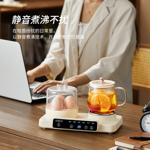泉尔思养生壶家用多功能办公室小型早餐蒸蛋器全玻璃烧水壶煮茶器